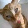 @A__Thinh-zu6kw