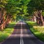 @ramgautam2712