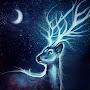 @ronen8423