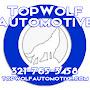 @topwolfautomotive6274