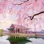 @blossom5747