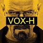 @vox-hack