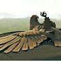 @FlightOfJatayu