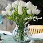 @saadhomohamed1578