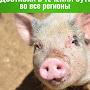 @Семя37