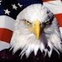 @garrik1093