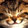 @gigicats6