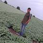 @kapanapalleashokkumar1245