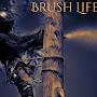 @brushlife9426