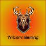 @TriternGaming16