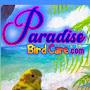 @paradisebirdcare8950