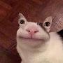 @Pablo-BS