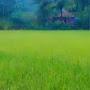 @prashanthamin9726