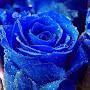 @ingridbaumbach3937