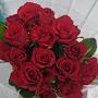 @adeelahbfazal3483