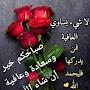 @baqermohammedhussein2929