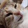 @Gerda_user-fe1tv2te3b