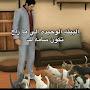 @Alan_Mhd