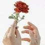 @محمدعالم-ف8خ