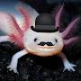 @axolotloutofthetank