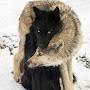 @lebeheutemarkusballi772
