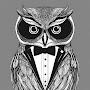 @owlmanbb8