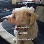 @AryanDoesStuff12