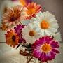 @jennet388