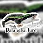 @Palangbailure_ch