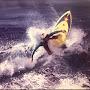 @chrismdegrazia3674