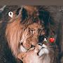 @user-nr1xs8cg7