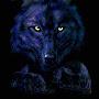 @Wolf-q7c