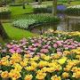 @amelelkady111