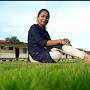 @vaishnavichole2646