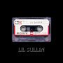 @lilsullen7550