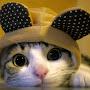 @smilecat999