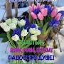 @ЛиляКозкина-ь7б
