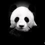 @pandagames4299