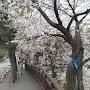 @byeong1p883