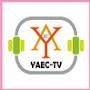 @yaec-tv7308