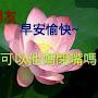 @huiwu1429