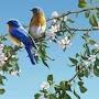 @ibrahimfahmy5979