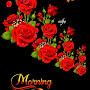 @yasmeenbegum7389
