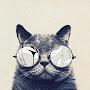 @tanmoyroy1479