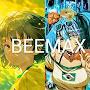 @Beemax-fly