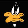 @daffyduck8528