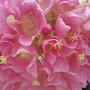 @christinecroswell7904
