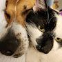 @jb-fb4od