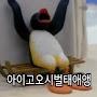 @박성진-s9q