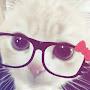 @cinnamoroll_cut3